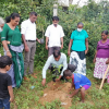 National Plantation Day Environment Program 2022.09.17 - 23 Rukropana Week / Homagama